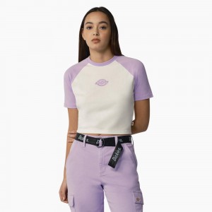 Women's Dickies Sodaville Cropped T-Shirt White | 8906124-JZ