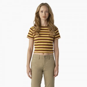 Women's Dickies Striped Cropped Baby T-Shirt Yellow | 9182765-RS