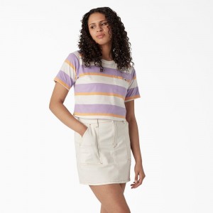 Women's Dickies Striped Cropped Pocket T-Shirt Purple | 8691342-LO