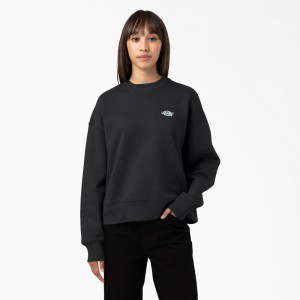 Women's Dickies Summerdale Sweatshirt Black | 8260415-IF