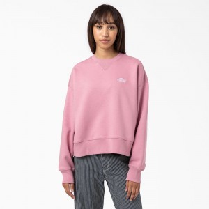 Women's Dickies Summerdale Sweatshirt Pink | 5302814-XC