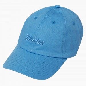 Women's Dickies Twill Cap Blue | 4687350-JT