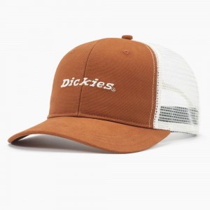 Women's Dickies Two-Tone Trucker Cap Brown | 5026841-WZ