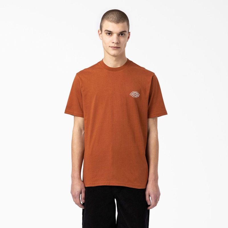 Men's Dickies Back Logo Graphic T-Shirt Brown | 0956714-TC