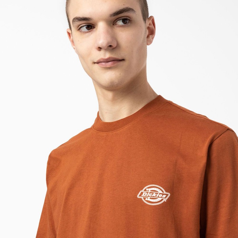 Men's Dickies Back Logo Graphic T-Shirt Brown | 0956714-TC