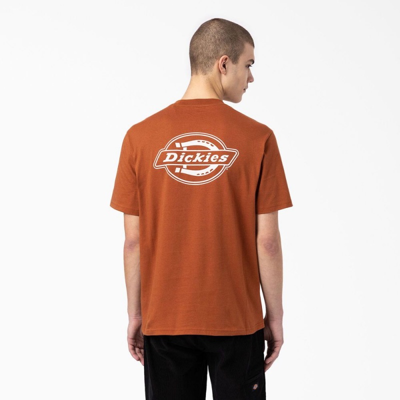 Men\'s Dickies Back Logo Graphic T-Shirt Brown | 0956714-TC