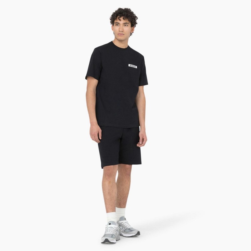 Men's Dickies Baker City Short Sleeve T-Shirt Black | 1954326-ZW