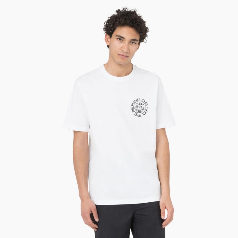 Men's Dickies Bayside Gardens Short Sleeve T-Shirt White | 5982641-GU