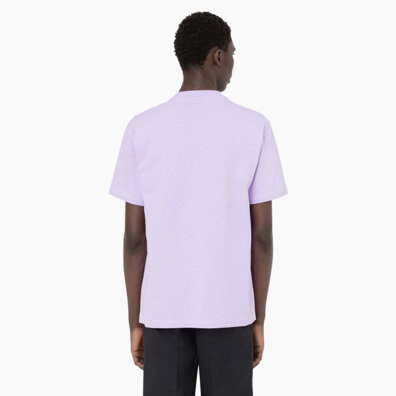 Men's Dickies Beavertown Short Sleeve T-Shirt Purple | 0583471-EN