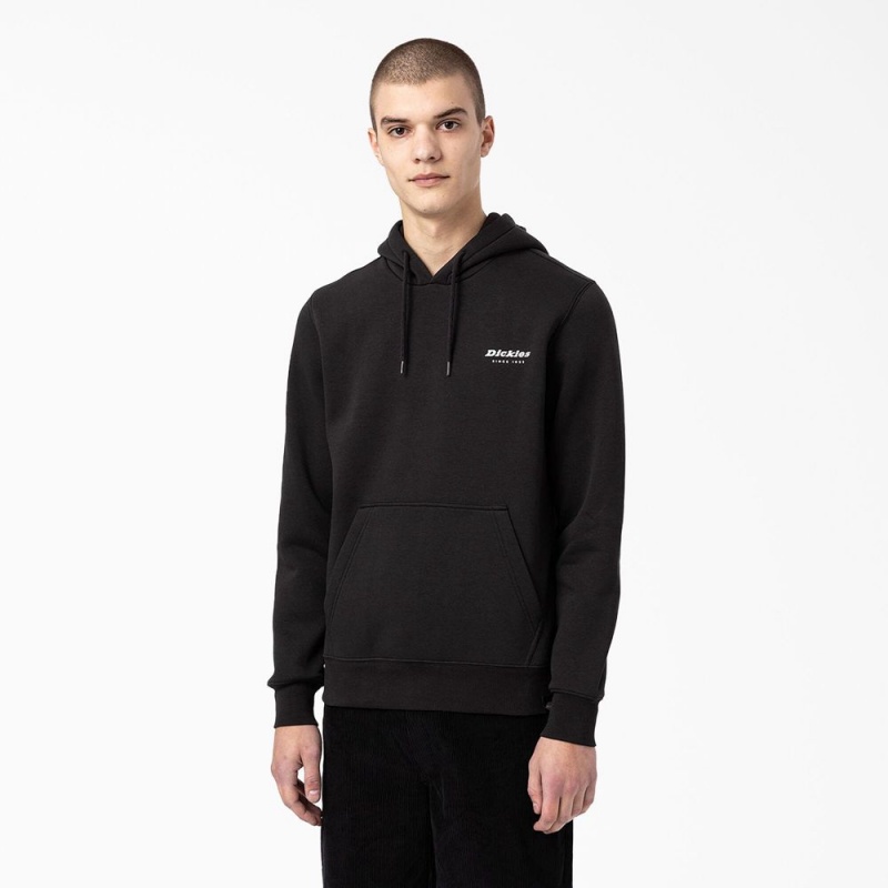 Men's Dickies Camden Box Graphic Hoodie Black | 7015382-ZC