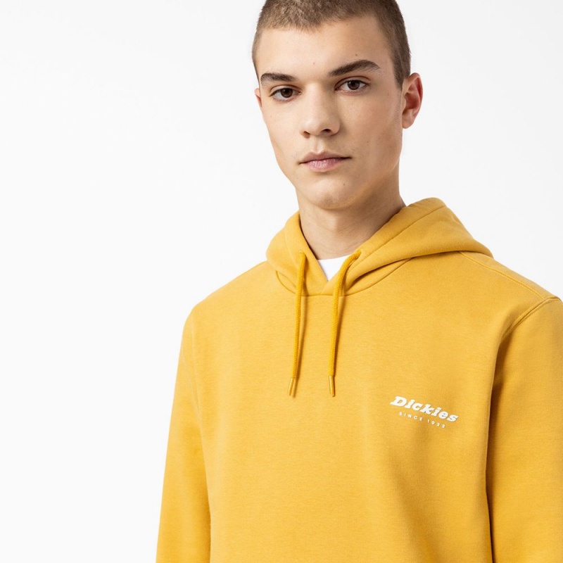 Men's Dickies Camden Box Graphic Hoodie Yellow | 0754691-CM