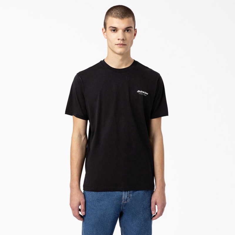 Men's Dickies Camden Box Graphic T-Shirt Black | 6237190-MN