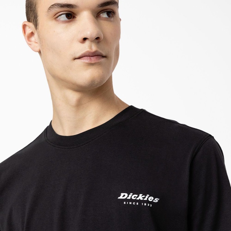 Men's Dickies Camden Box Graphic T-Shirt Black | 6237190-MN