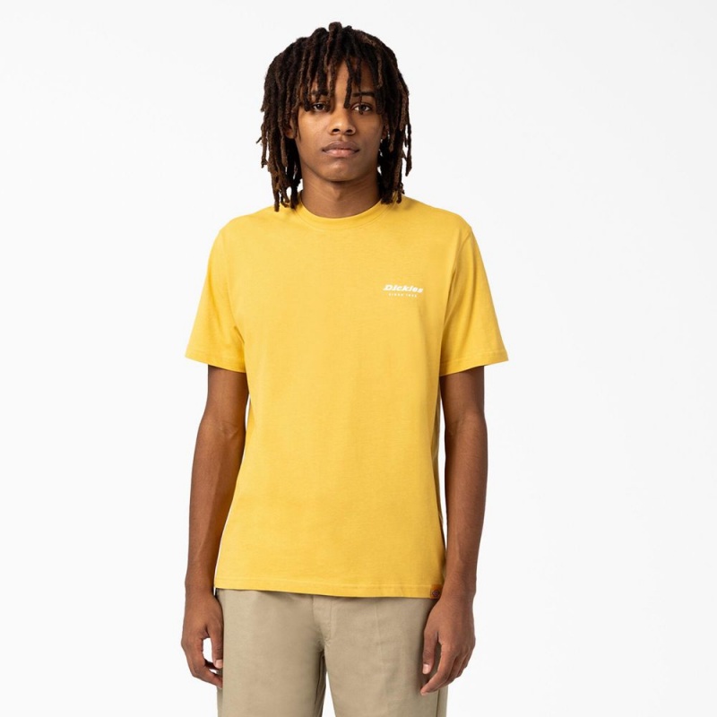 Men's Dickies Camden Box Graphic T-Shirt Yellow | 8670194-EW