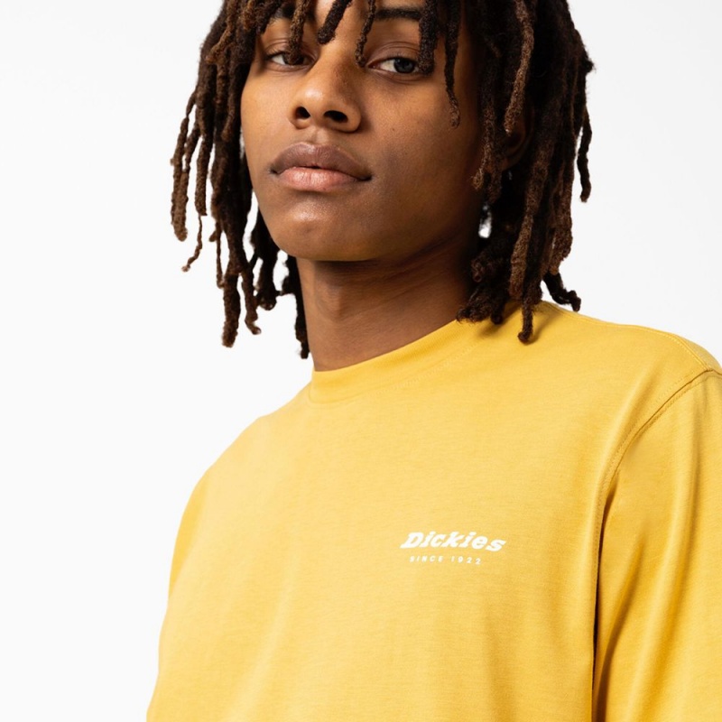 Men's Dickies Camden Box Graphic T-Shirt Yellow | 8670194-EW