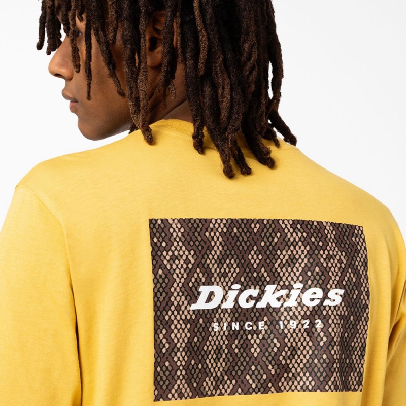 Men's Dickies Camden Box Graphic T-Shirt Yellow | 8670194-EW