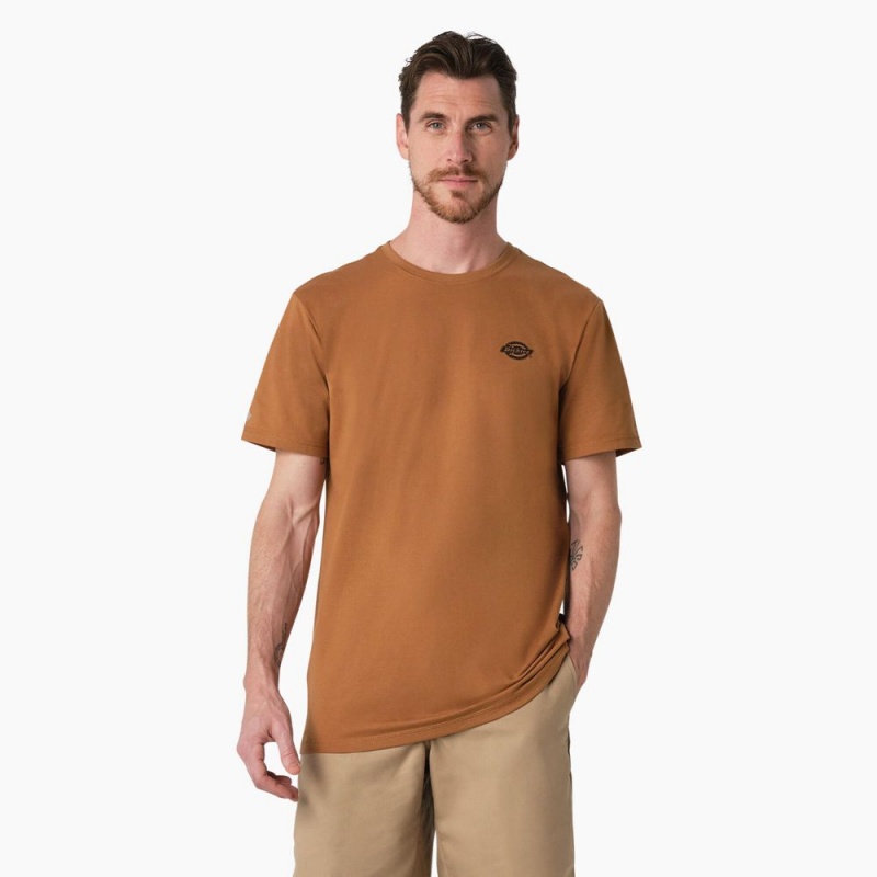 Men's Dickies Cooling Performance Graphic T-Shirt Brown | 6134082-IX