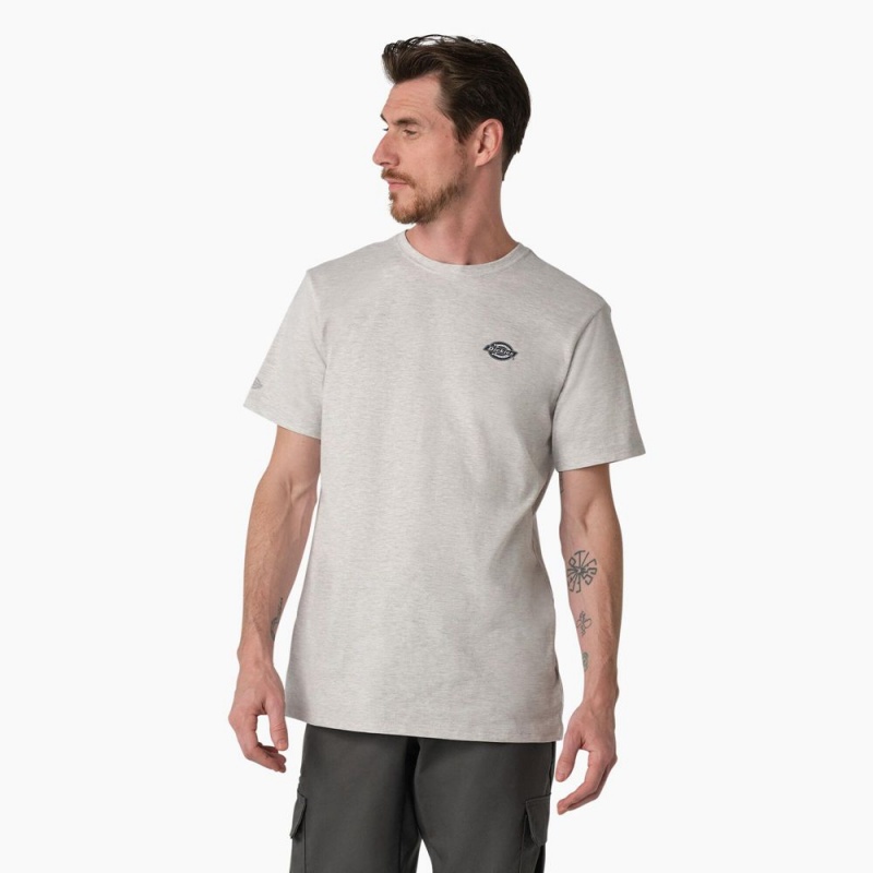 Men's Dickies Cooling Performance Graphic T-Shirt Grey | 2180693-WB