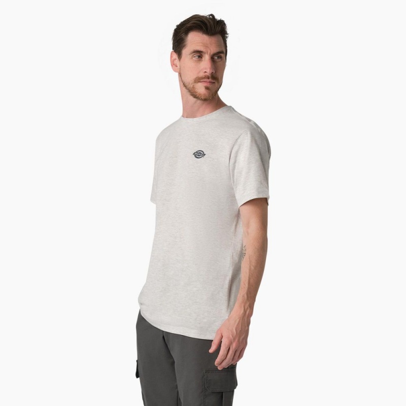 Men's Dickies Cooling Performance Graphic T-Shirt Grey | 2180693-WB