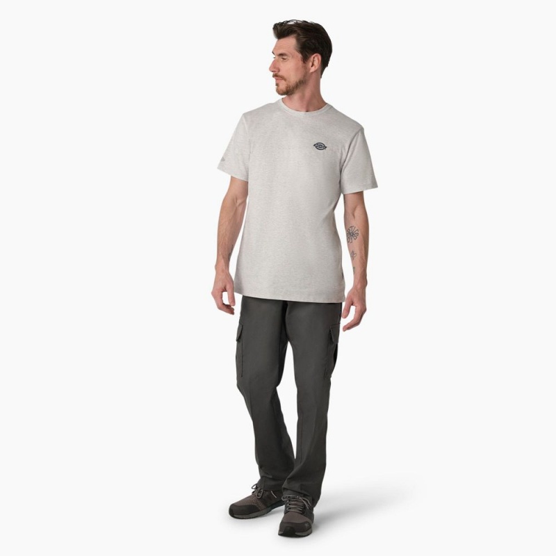 Men's Dickies Cooling Performance Graphic T-Shirt Grey | 2180693-WB