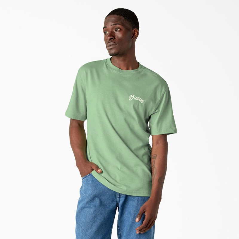 Men's Dickies Dighton Graphic T-Shirt Green | 9761253-KA