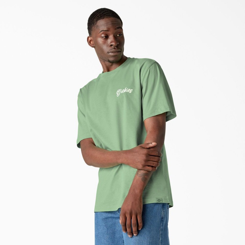 Men's Dickies Dighton Graphic T-Shirt Green | 9761253-KA