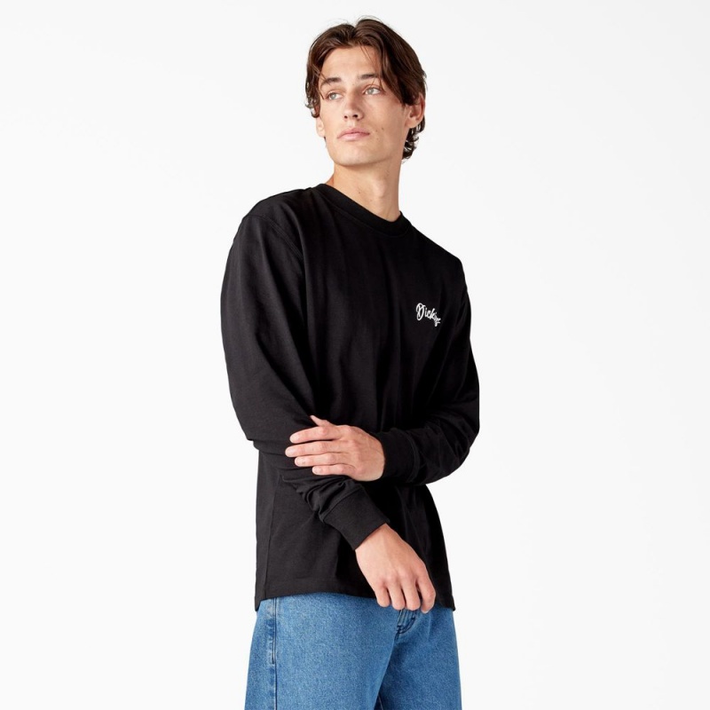 Men's Dickies Dighton Long Sleeve Graphic T-Shirt Black | 5827039-LP