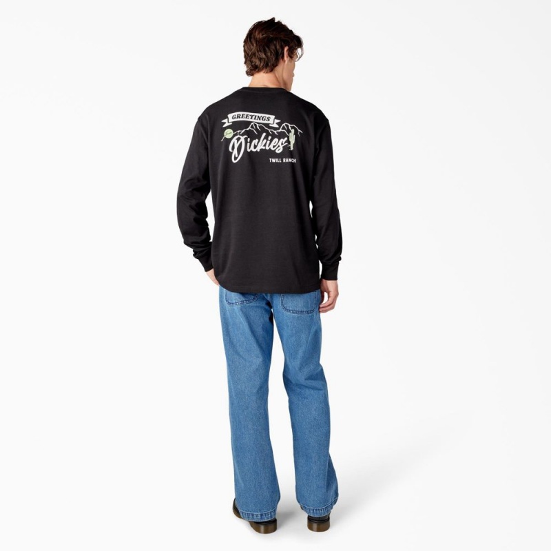 Men's Dickies Dighton Long Sleeve Graphic T-Shirt Black | 5827039-LP