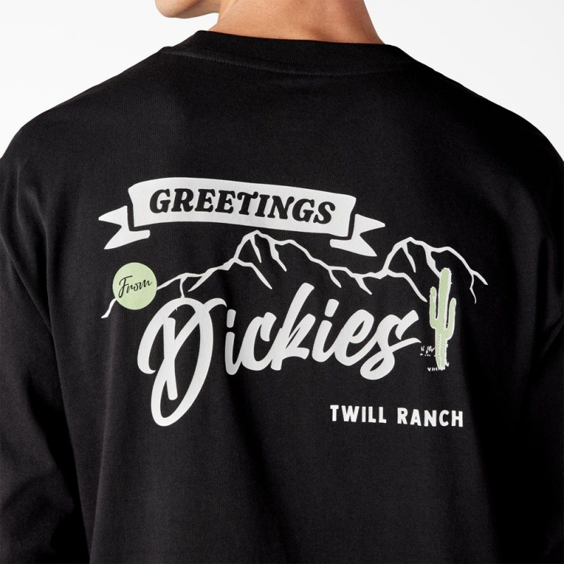 Men's Dickies Dighton Long Sleeve Graphic T-Shirt Black | 5827039-LP