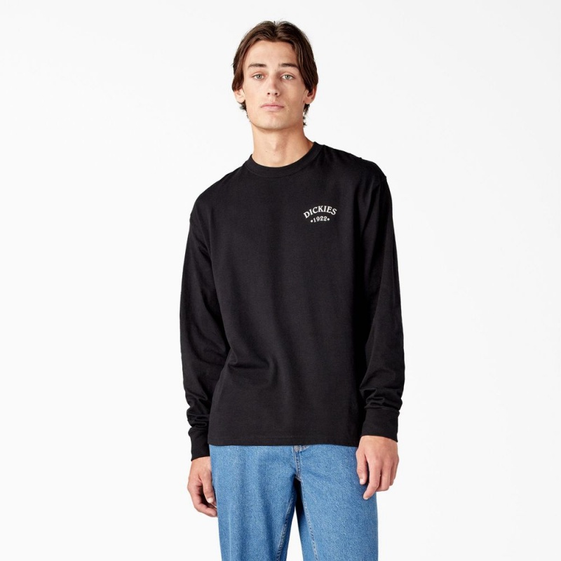 Men's Dickies Garden Plain Graphic Long Sleeve T-Shirt Black | 3792840-YQ