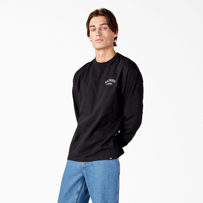 Men's Dickies Garden Plain Graphic Long Sleeve T-Shirt Black | 3792840-YQ