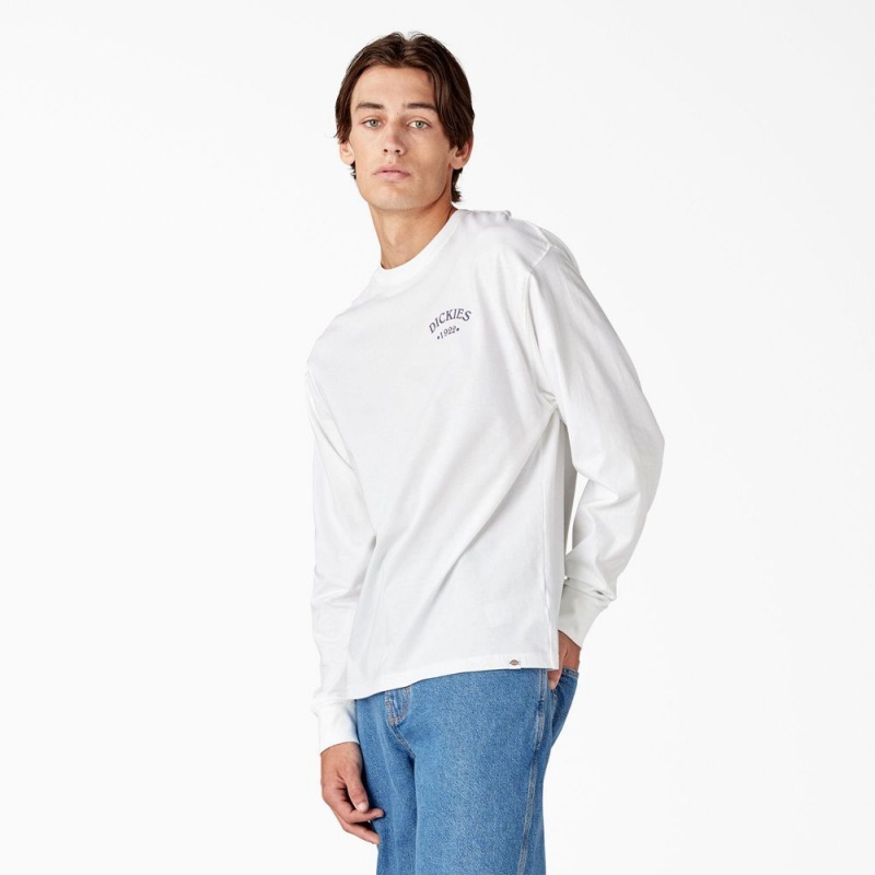 Men's Dickies Garden Plain Graphic Long Sleeve T-Shirt White | 3791586-WJ