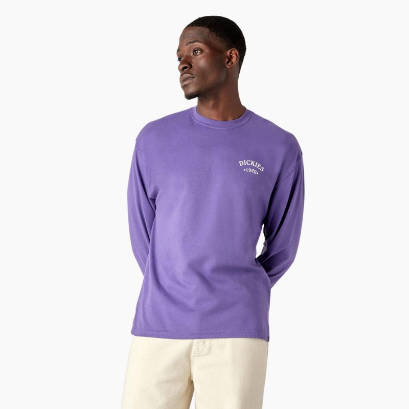 Men's Dickies Garden Plain Graphic Long Sleeve T-Shirt Purple | 3520148-MV