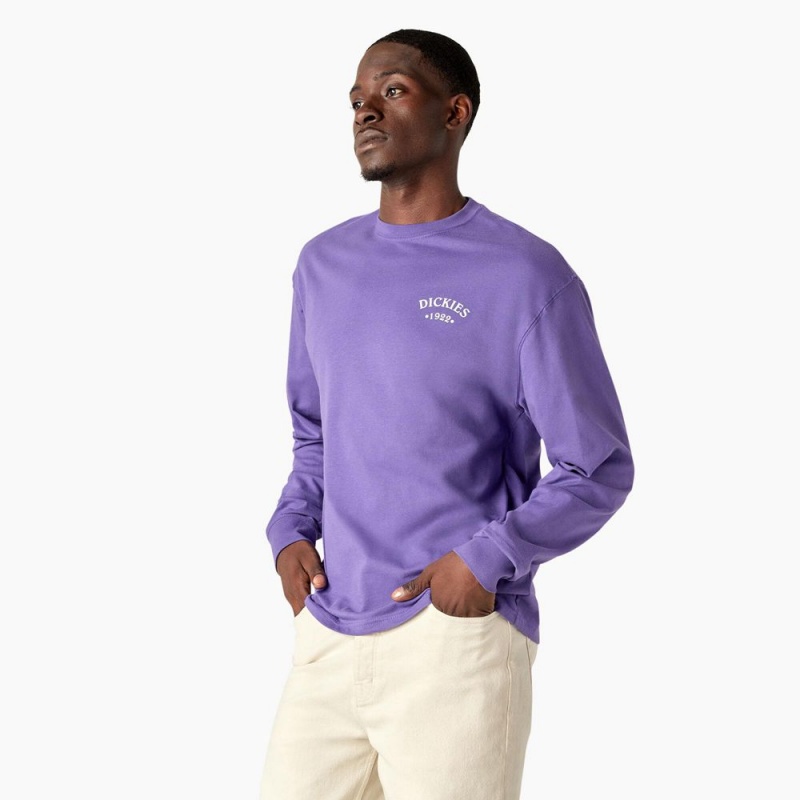 Men's Dickies Garden Plain Graphic Long Sleeve T-Shirt Purple | 3520148-MV