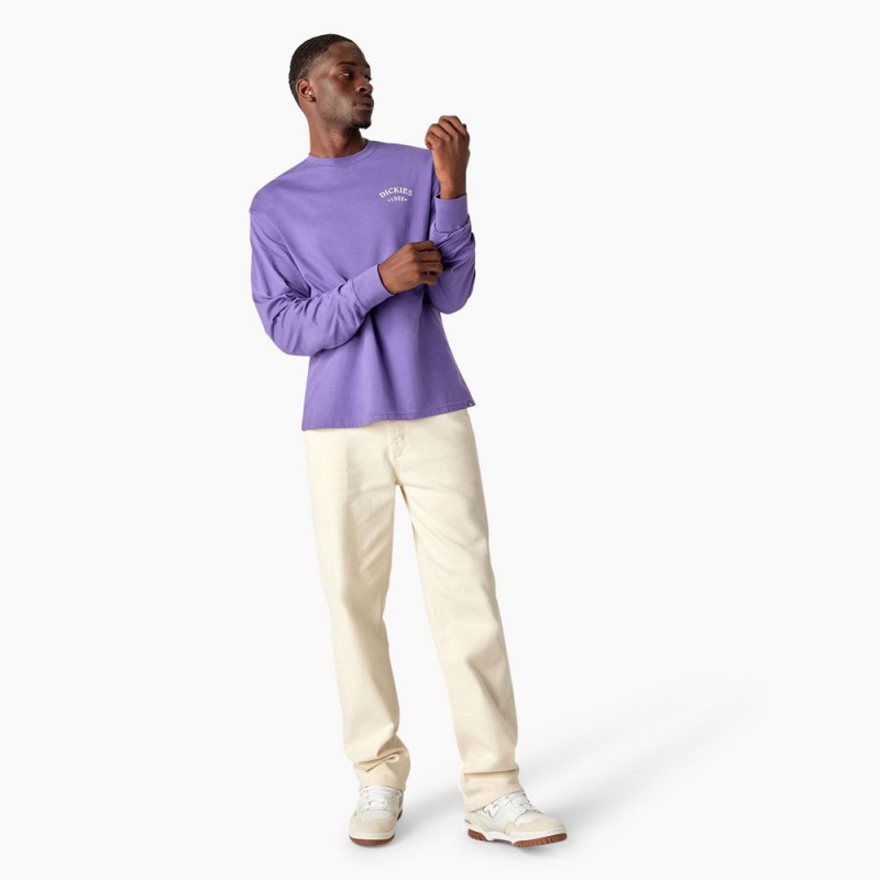 Men's Dickies Garden Plain Graphic Long Sleeve T-Shirt Purple | 3520148-MV