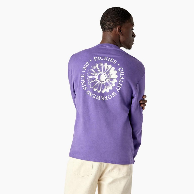 Men\'s Dickies Garden Plain Graphic Long Sleeve T-Shirt Purple | 3520148-MV