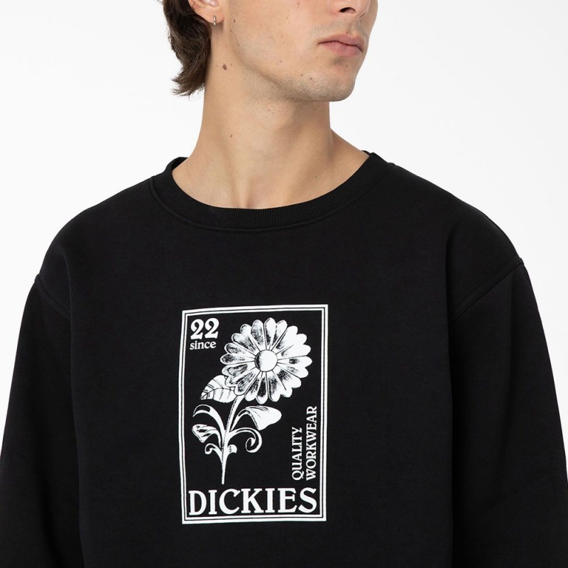 Men's Dickies Garden Plain Graphic Sweatshirt Black | 5734012-CB