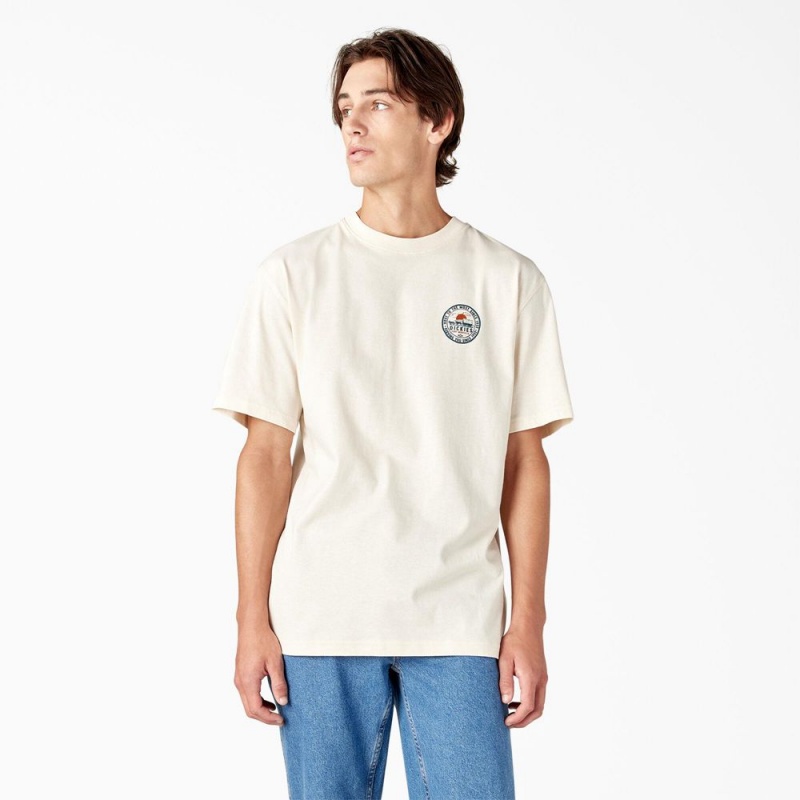 Men's Dickies Greensburg Graphic T-Shirt Beige | 5803419-ZX