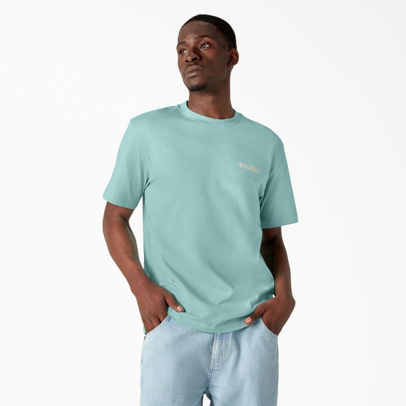 Men's Dickies Hays Graphic T-Shirt Turquoise | 1806927-UZ