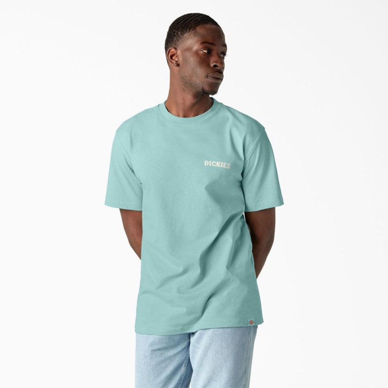 Men's Dickies Hays Graphic T-Shirt Turquoise | 1806927-UZ