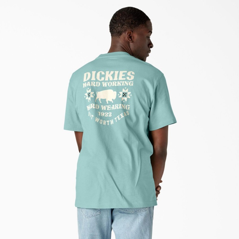 Men\'s Dickies Hays Graphic T-Shirt Turquoise | 1806927-UZ