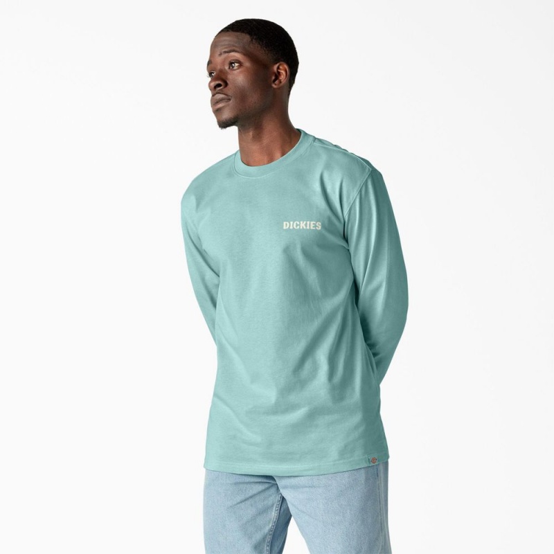 Men's Dickies Hays Long Sleeve Graphic T-Shirt Turquoise | 2917350-UW