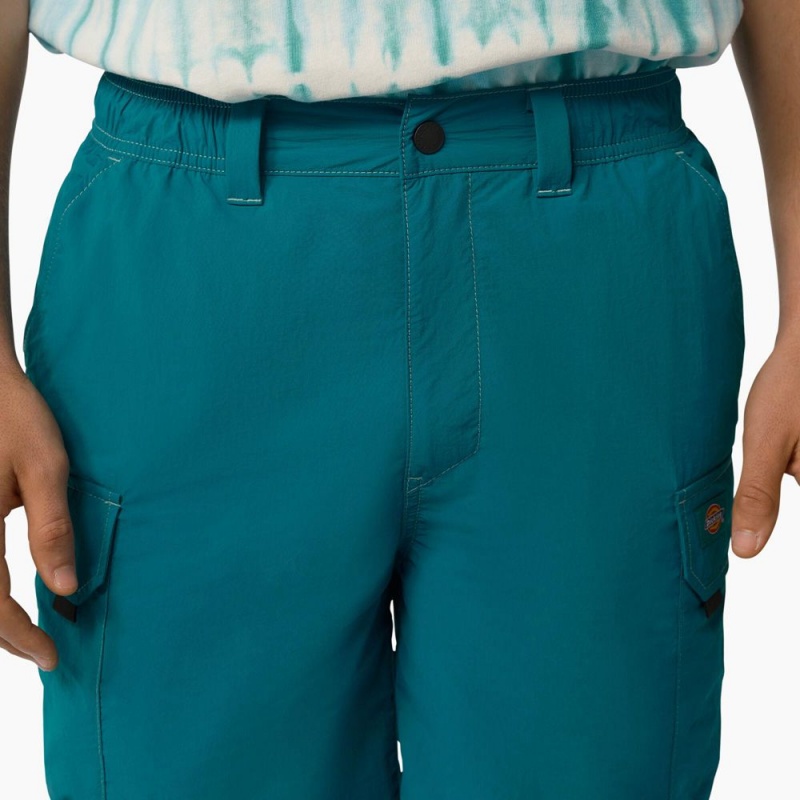 Men's Dickies Jackson Regular Fit Cargo Shorts Turquoise | 4738256-BY