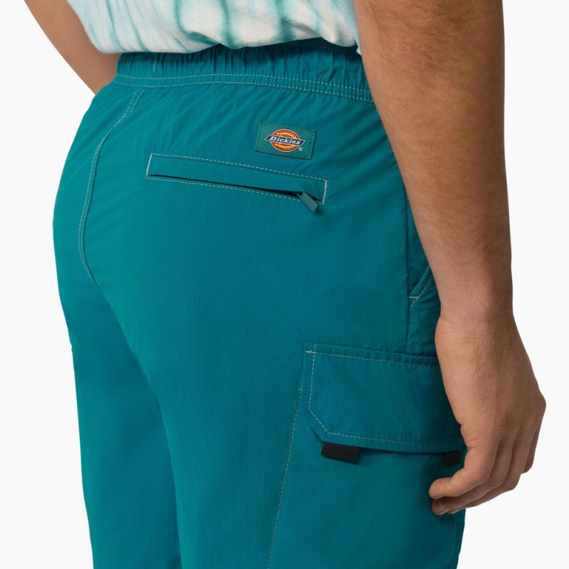 Men's Dickies Jackson Regular Fit Cargo Shorts Turquoise | 4738256-BY