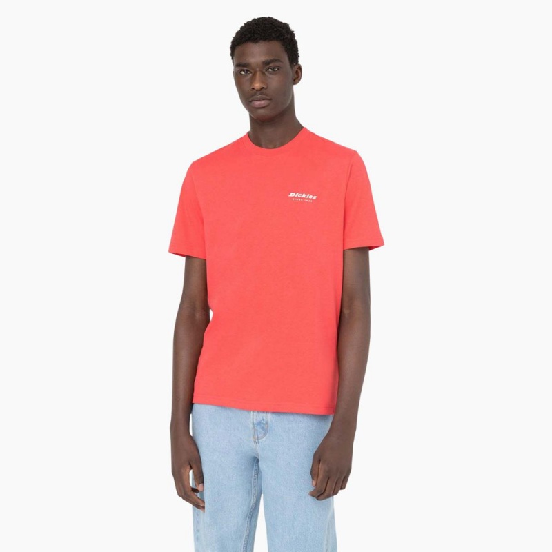 Men's Dickies Leesburg Short Sleeve T-Shirt Pink | 7583219-HW