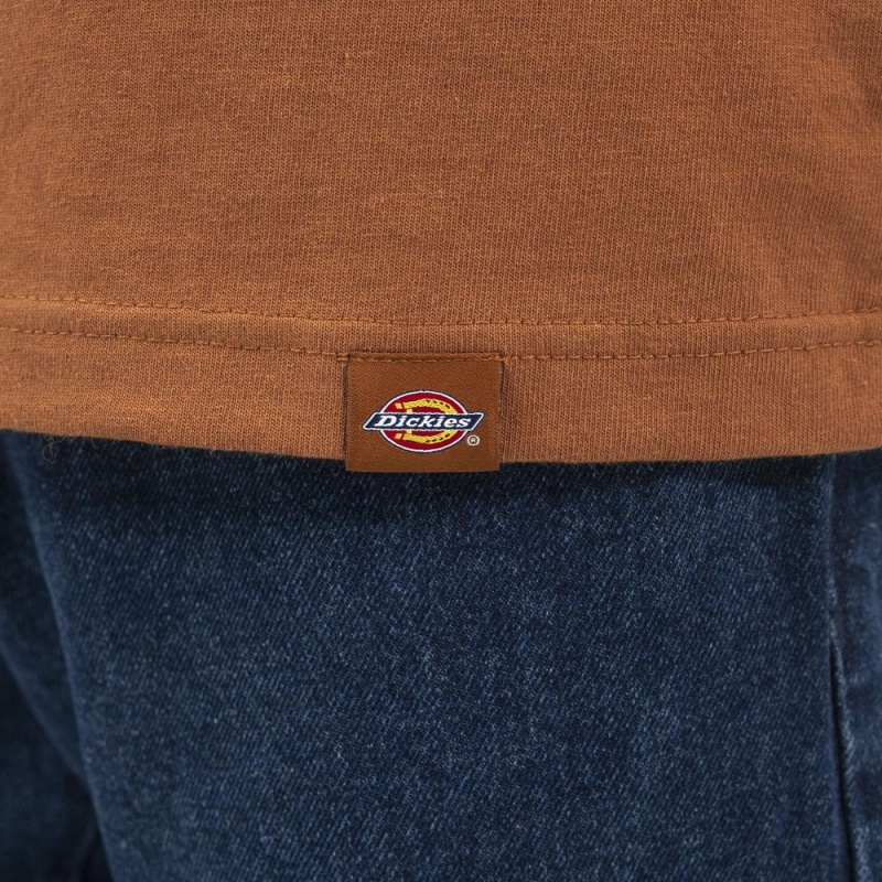 Men's Dickies Long Sleeve Henley T-Shirt Brown | 2496085-CE