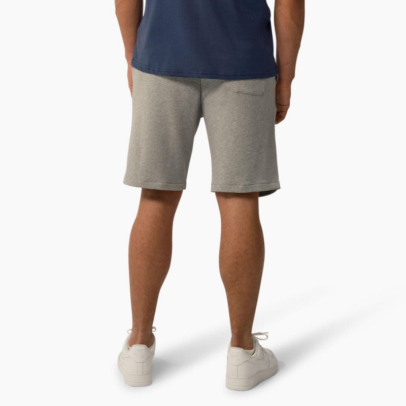 Men's Dickies Mapleton Regular Fit Shorts Grey | 8954610-DU