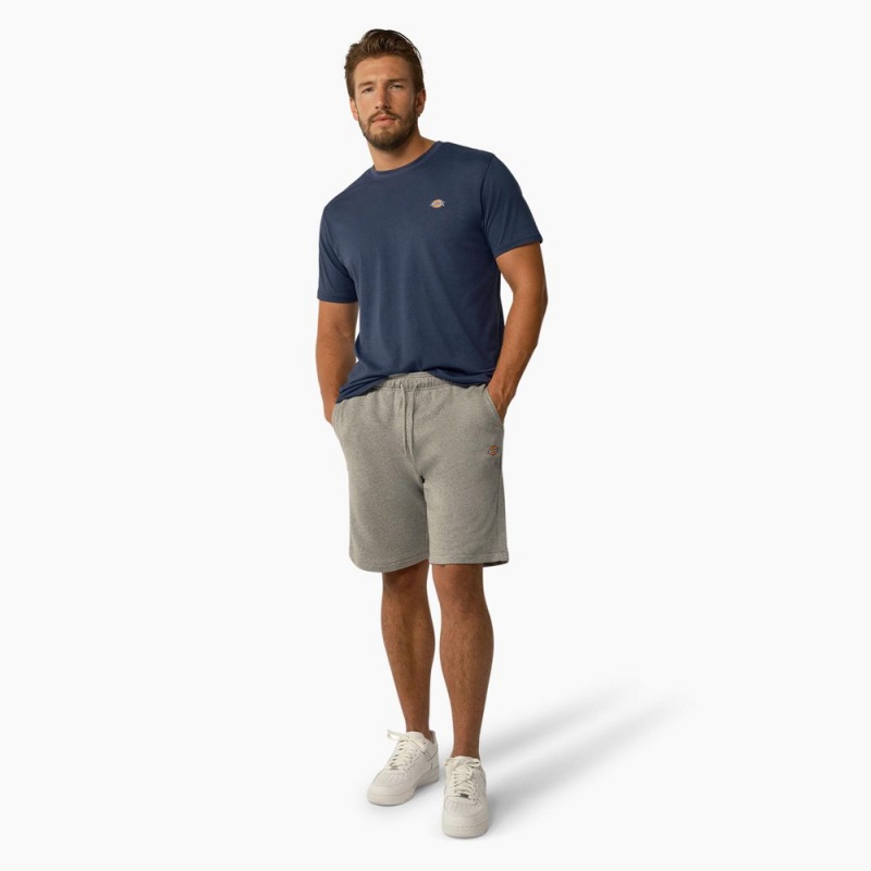 Men's Dickies Mapleton Regular Fit Shorts Grey | 8954610-DU