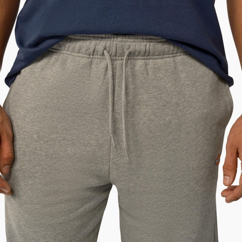 Men's Dickies Mapleton Regular Fit Shorts Grey | 8954610-DU