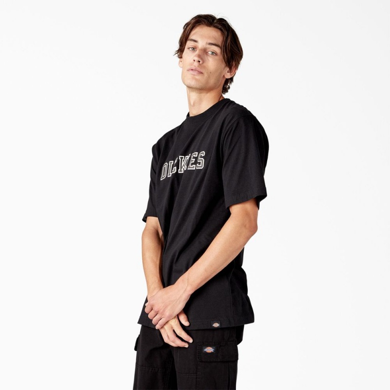 Men's Dickies Melvern Graphic T-Shirt Black | 9852403-WP